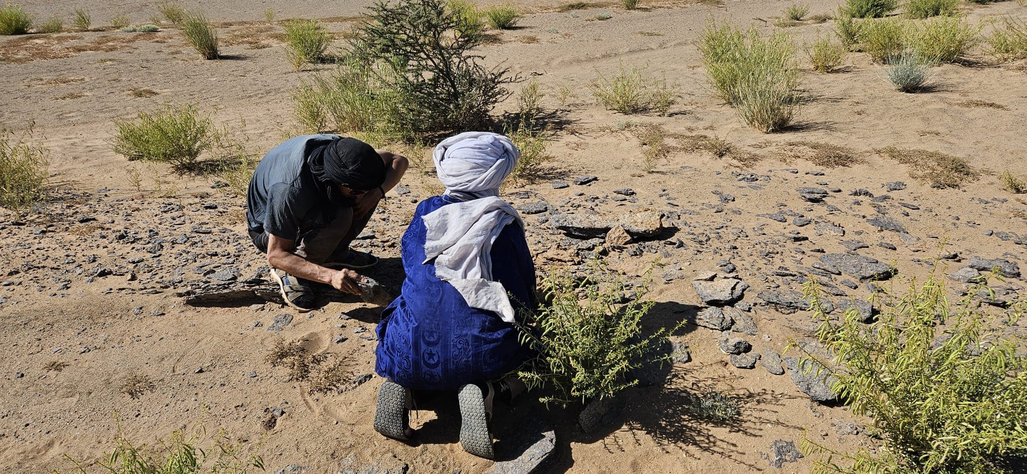 Sahara Desert Moment 8