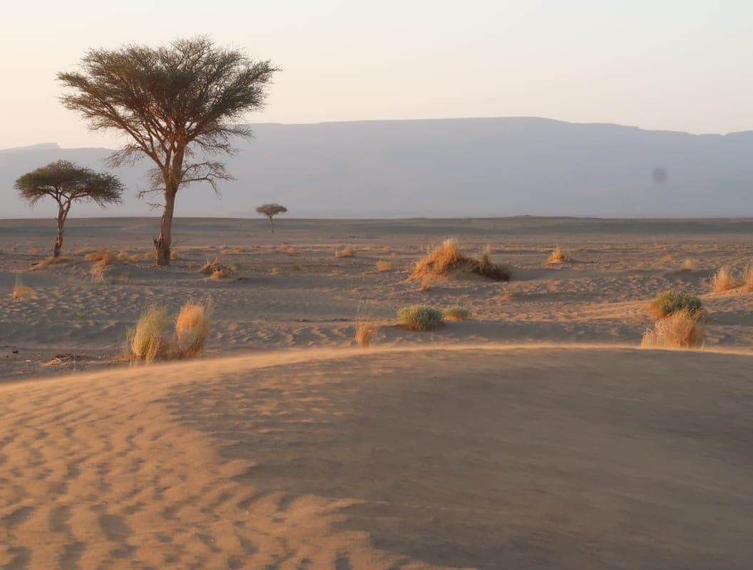 Sahara Desert Moment 10