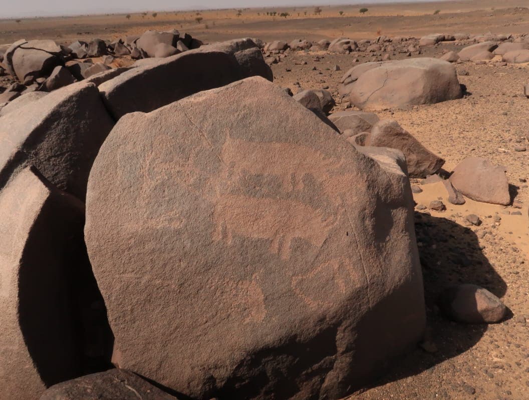 Sahara Desert Moment 13