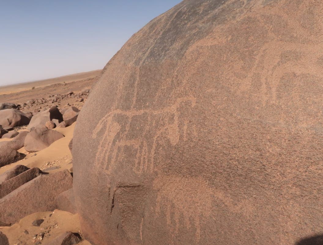 Sahara Desert Moment 19