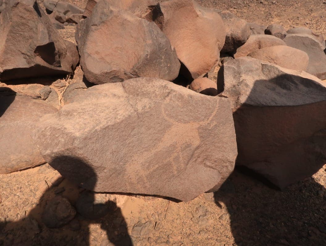 Sahara Desert Moment 22