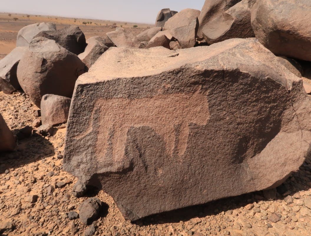 Sahara Desert Moment 24