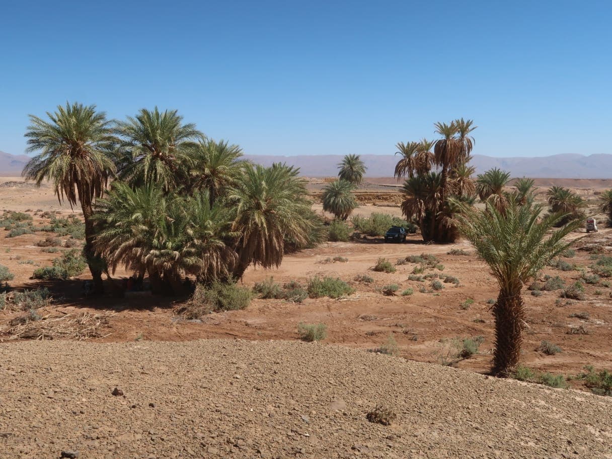 Sahara Desert Moment 32