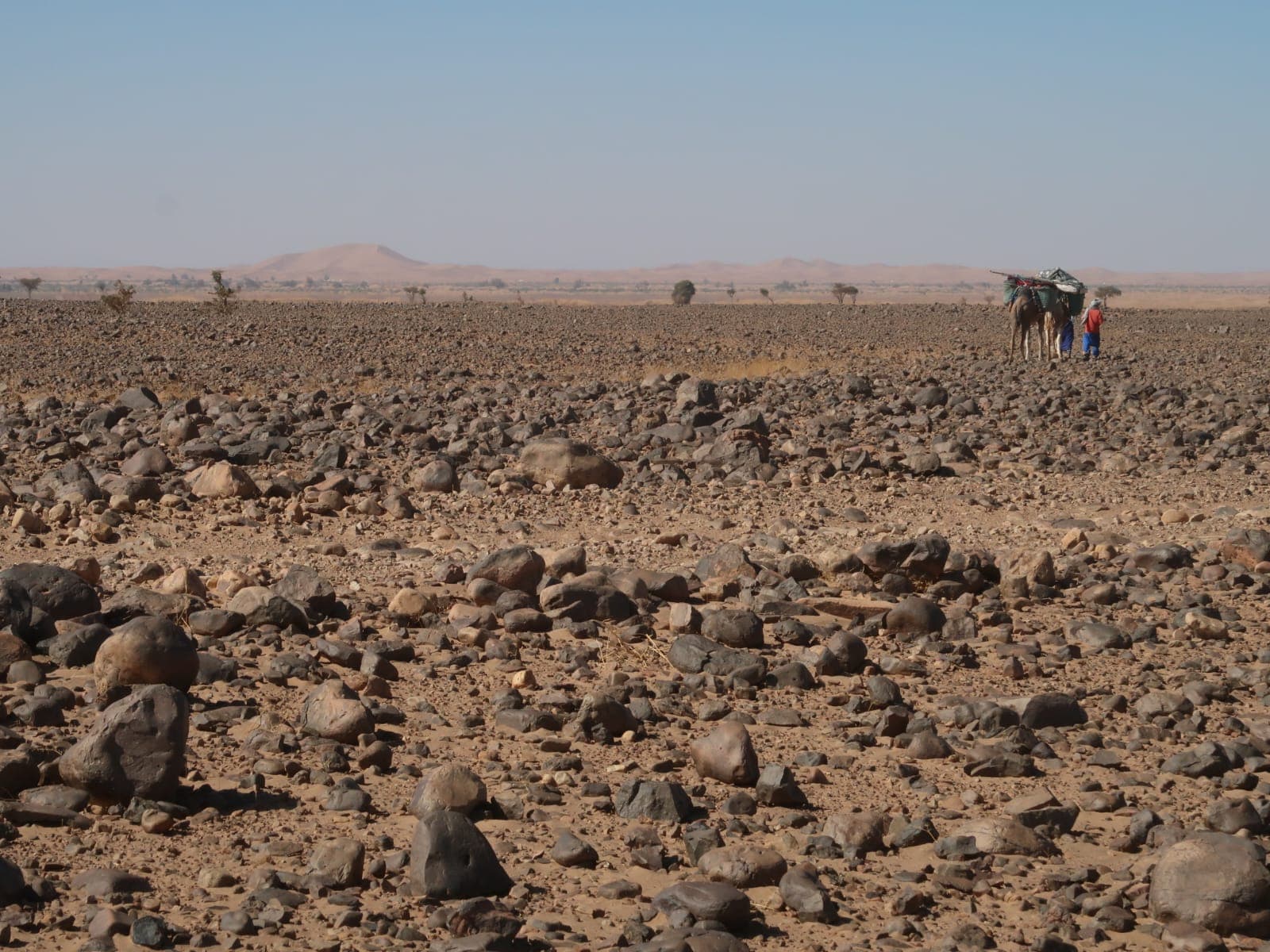 Sahara Desert Moment 33