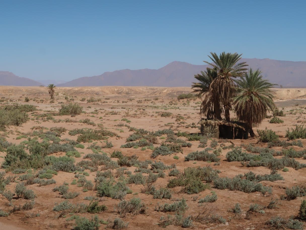 Sahara Desert Moment 35