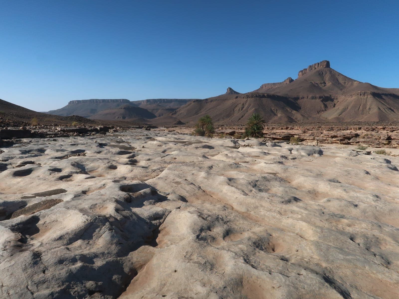 Sahara Desert Moment 42