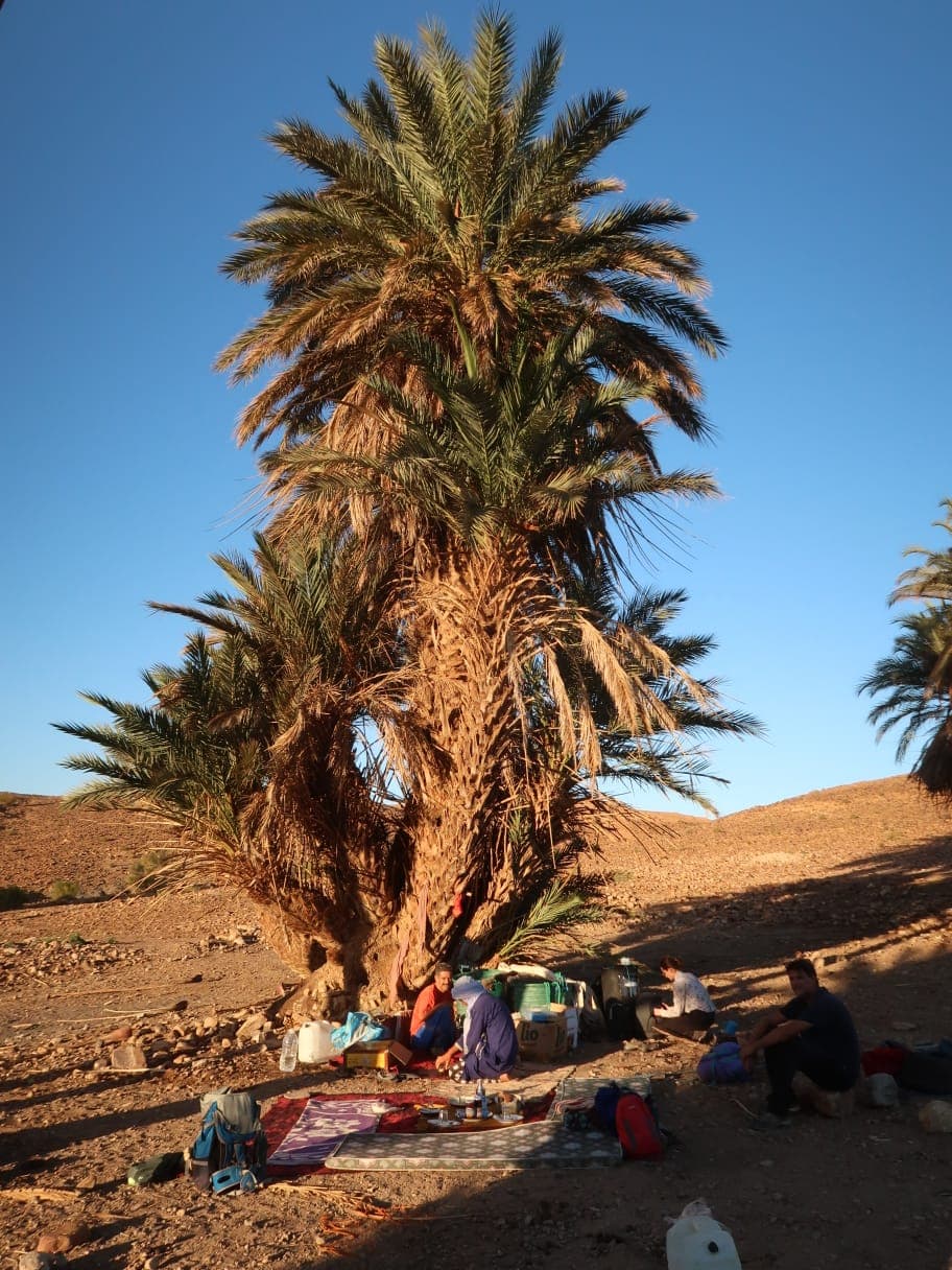 Sahara Desert Moment 43