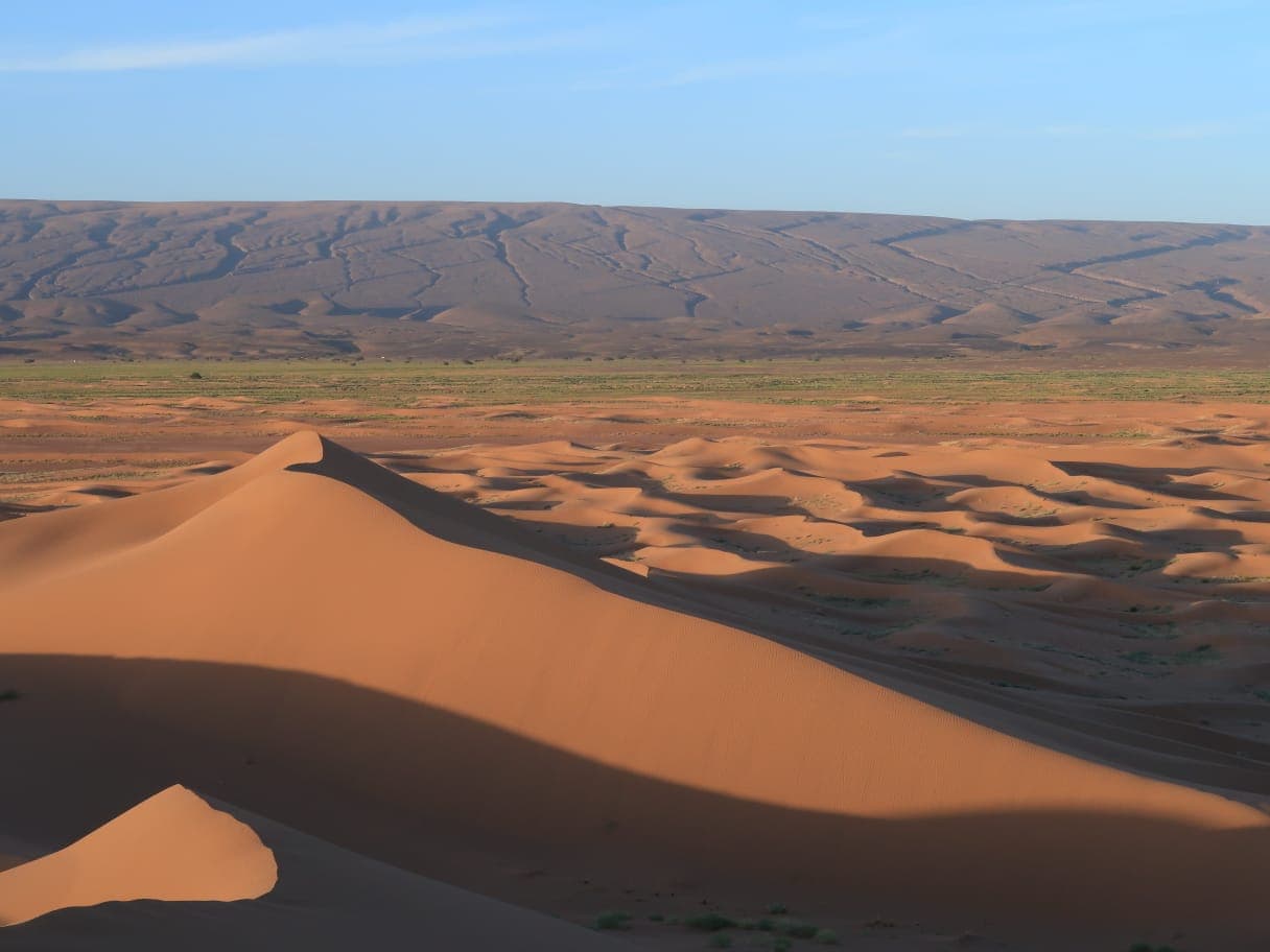 Sahara Desert Moment 45