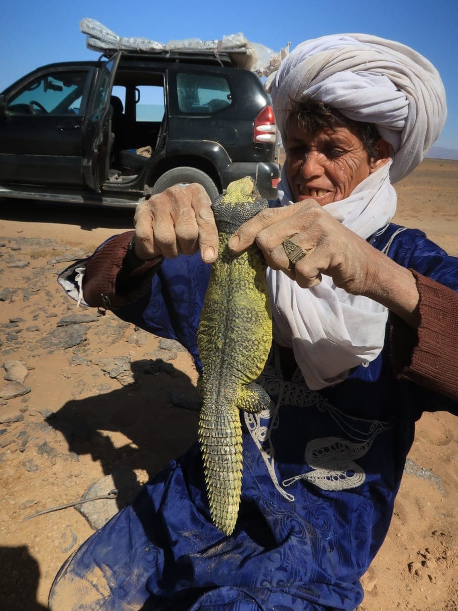 Sahara Desert Moment 46