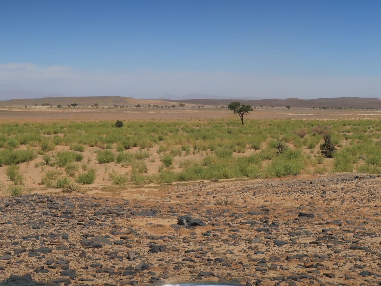 Sahara Desert Moment 47