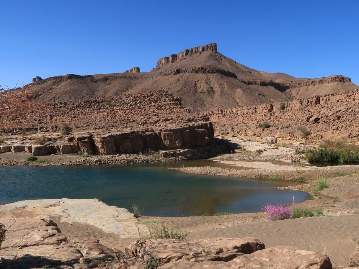 Sahara Desert Moment 48