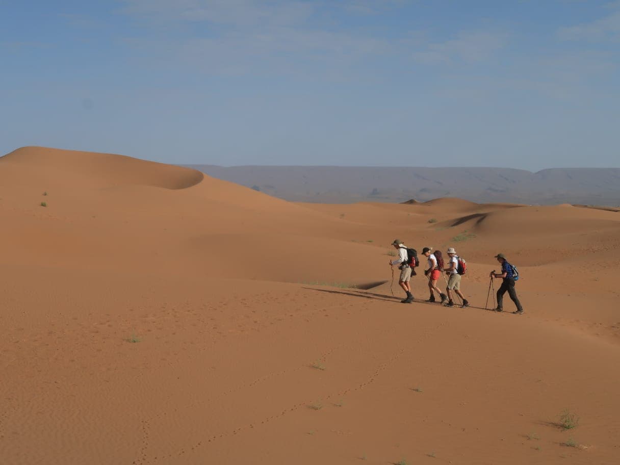 Sahara Desert Moment 51