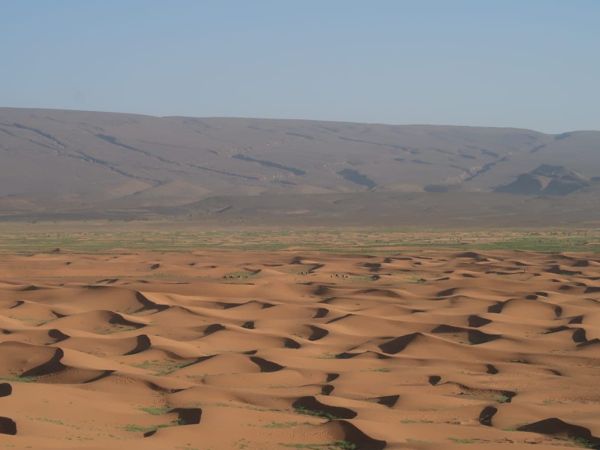 Sahara Desert Moment 53