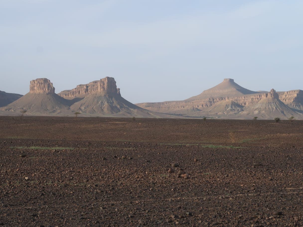 Sahara Desert Moment 54