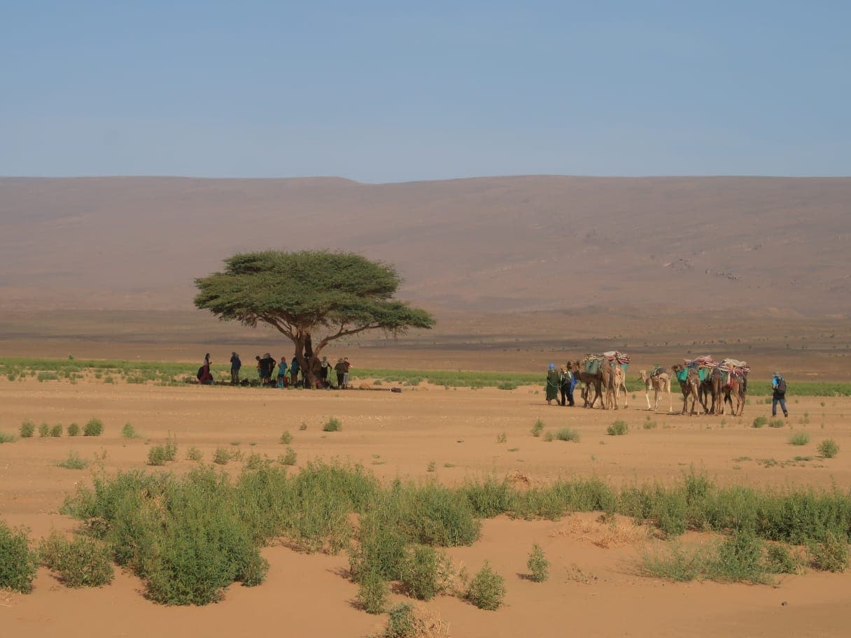 Sahara Desert Moment 55