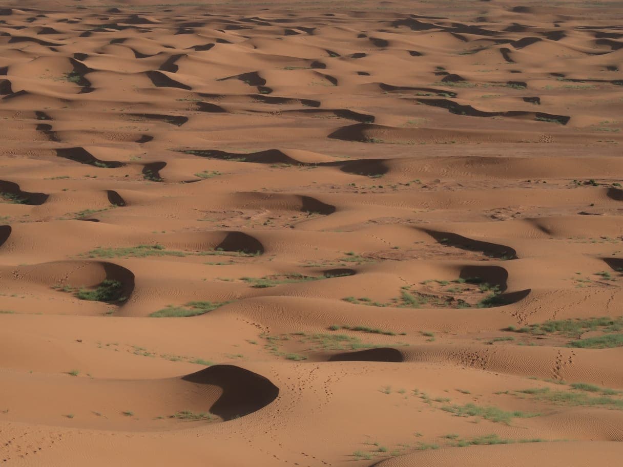 Sahara Desert Moment 56