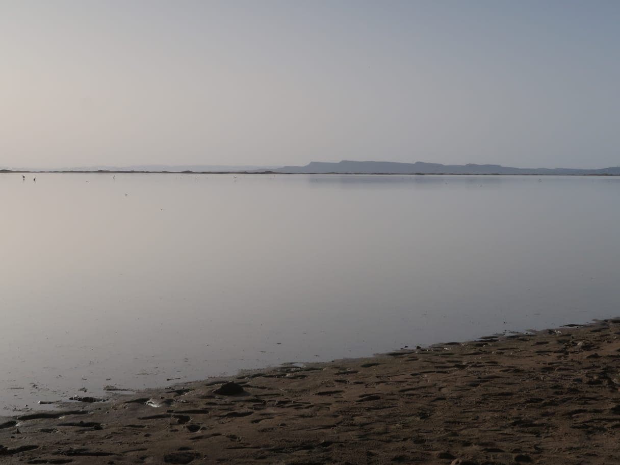 Sahara Desert Moment 59