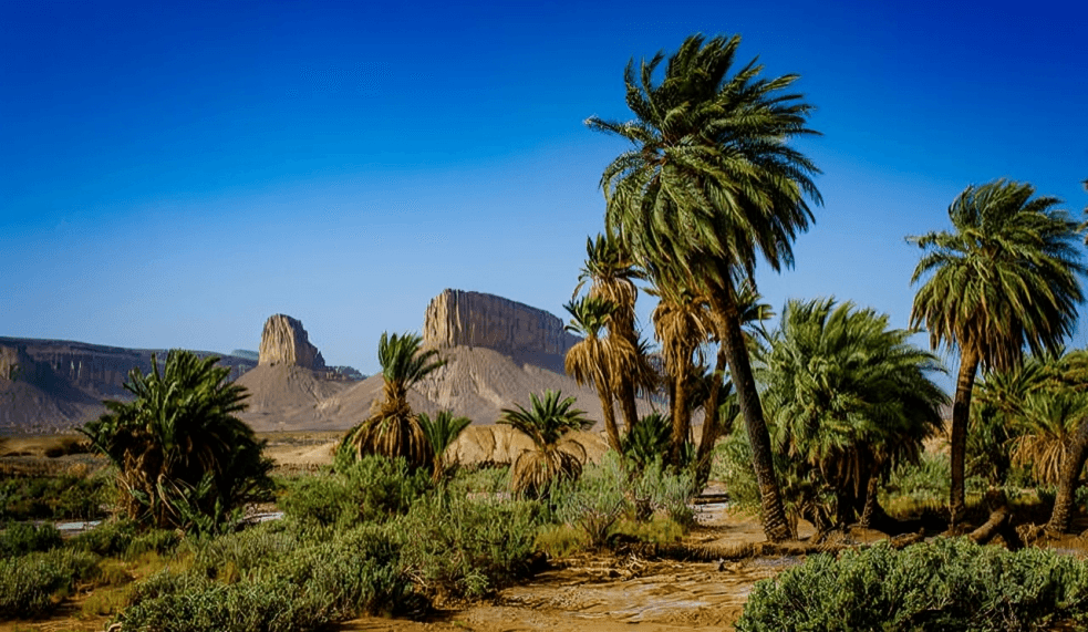 Sahara Desert Moment 61