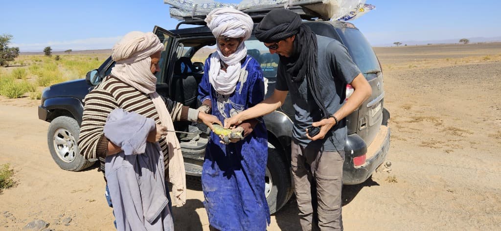 Guardians of the Desert - Local guides with Sahara wildlife