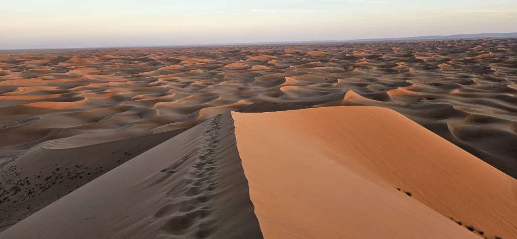 Sahara Desert Landscape 1
