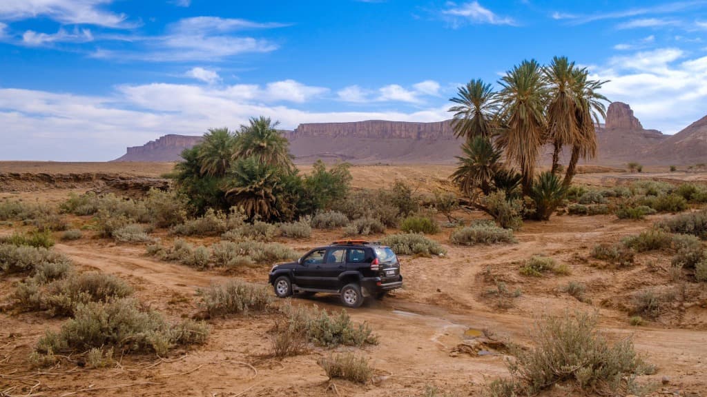 Sahara Desert Landscape 2