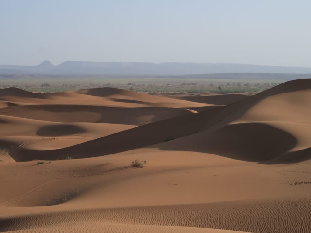 Top 5 Must-Do Experiences in the Moroccan Sahara
